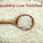 পুষ্টিগুণে ভরা চাল