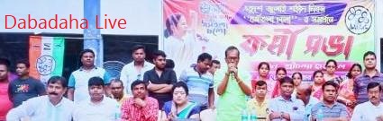 একুশে জুলাই উপলক্ষ্যে তৃণমূলের সভা মগরাহাটে