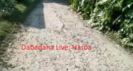 বেহাল রাস্তা সংস্কারের আর্জি ক্ষুব্ধ গ্রামবাসীর  