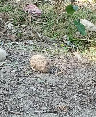 স্কুলের অদূরে বোমা উদ্ধারে চাঞ্চল্য দিনহাটায়