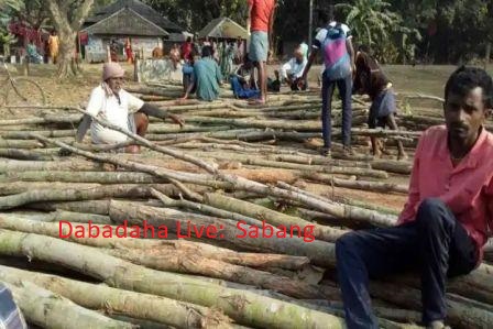 বন দপ্তরের তৎপরতায় বেআইনি কাটা শালগাছ উদ্ধার