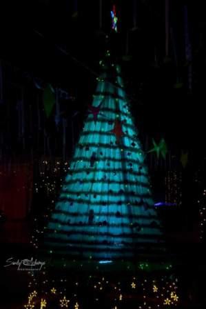 বড়দিনে সেজে উঠেছে শিলিগুড়ি