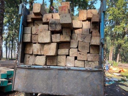 বার্মা টিককাঠ উদ্বার করল বন দপ্তরের কর্মীরা