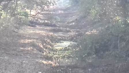 সেচের জলের সমস্যায় জয়পুরের চাষীরা