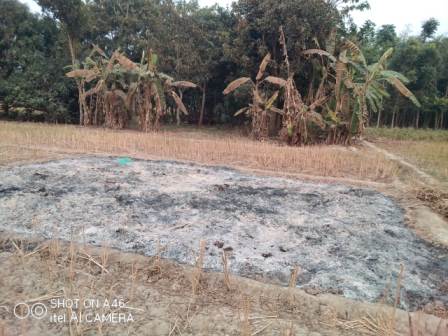 ফসলে আগুন ক্ষতিগ্রস্ত কৃষক