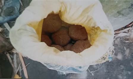 নির্বাচনের পূর্বে উদ্ধার ২০ টি তাজা বোমা