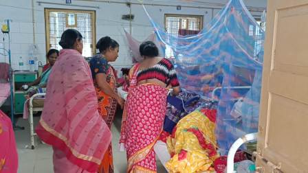 ডেঙ্গি আক্রান্তের সংখ্যা দ্রুত এগিয়ে, চিকিৎসকরা নাজেহাল