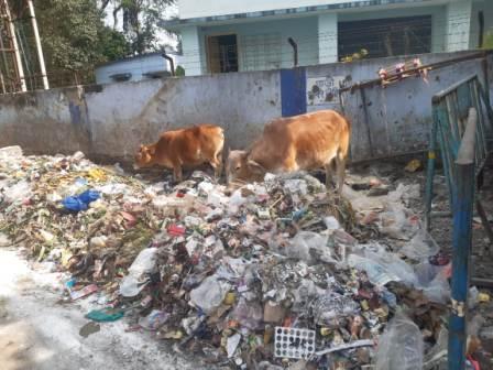জেলা প্রশাসনিক এলাকাধীনে দুর্গন্ধ জঞ্জাল