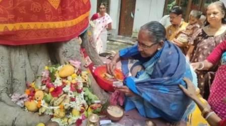 ৪ শ’ বছরের গাছ ষষ্ঠী পুজো