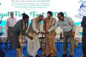 দু’দিন ব্যাপী বেঙ্গল ফিস‌ ফেস্ট‌ নলবন ফুড পার্কে